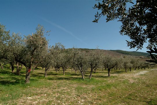 Tour image 2