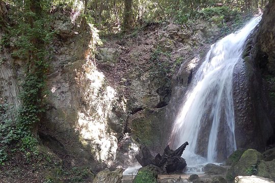 Tour image 5