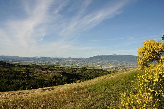 Tour image 6