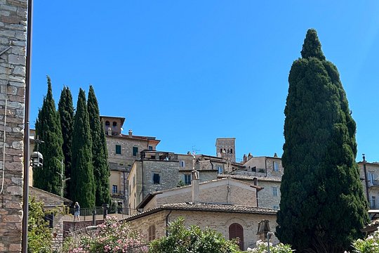 Tour image 3