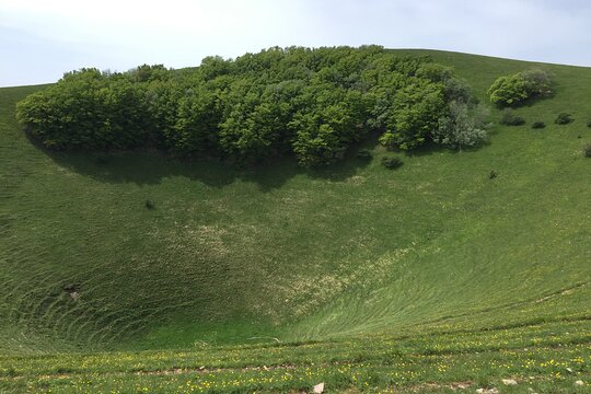 Tour image 5